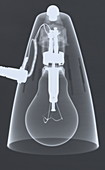 Lamp X-ray