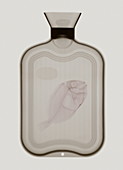 Hot water bottle & fish X-ray