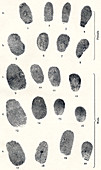 Sets of fingerprints