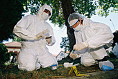 Forensics officers at a crime scene