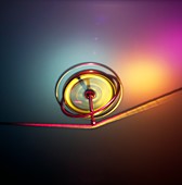 Gyroscope spinning on a piece of string