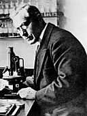 Martinus Beijerinck,Dutch discoverer of viruses