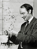 Francis Crick in 1953