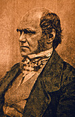 Charles Darwin,English naturalist