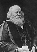 Robert Grant,British astronomer