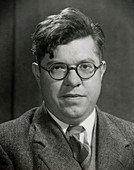 Portrait of Sir Fred Hoyle,astrophysicist