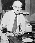 Edward Calvin Kendall,American biochemist