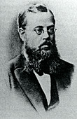 Portrait of Marius Sophus Lie,1842-1899