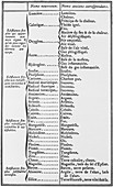 Lavoisier's chemical elements list