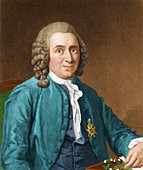Carl Linnaeus,Swedish botanist