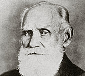 Ivan Pavlov,Russian physiologist