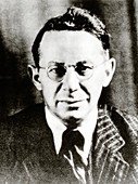 Tadeus Reichstein,Polish-Swiss chemist