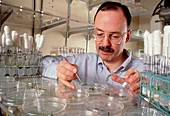 Prof. Somerville,plastic from plants researcher