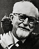 American palaeontologist George Simpson