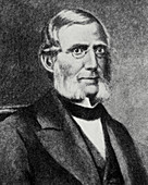 Portrait of John Torrey,American botanist
