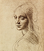 Leonardo da Vinci artwork