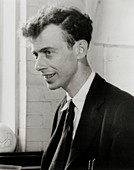 Portrait of James Watson in 1953