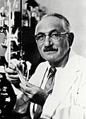 Selman Waksman,Russian-American biochemist
