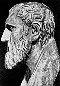 Bust of Zeno,Greek philosopher and mathematician
