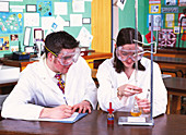 Pupils performing a titration
