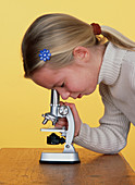 Microscope use