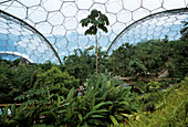 Eden Project biome