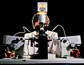 Researcher with microscope and micromanipulator