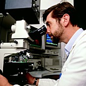 Cancer research scientist with confocal microscope