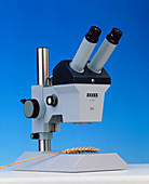A Zeiss binocular optical (light) microscope