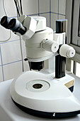 Light microscope