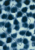 False-col scanning tunnelling image of silicon