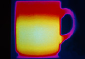 256-colour thermogram of a coffee mug