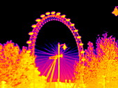 London Eye,thermogram