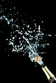 High-speed photo of champagne cork popping