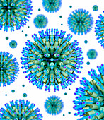 Herpes virus particles,computer artwork
