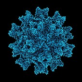 Infectious bursal disease virus particle