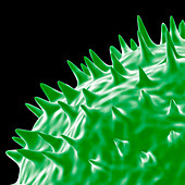 Influenza virus protein spikes