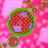Influenza virus particles