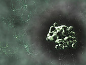 Prion protein plaque,computer artwork