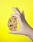 Gloved hand holding brain affected by Alzheimer's