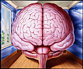 Artwork of human brain enclosed in dream-like room