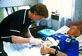 Nurse dressing wound of elderly colostomy patient