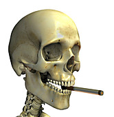 Smoking skeleton