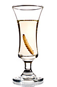 Mezcal in a glass