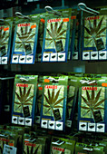 Cannabis seeds
