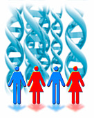 Genetic sexuality