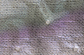 Acticoat 7 wound dressing