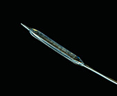 Coronary balloon catheter