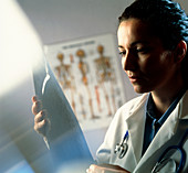 Female doctor studying an X-ray image