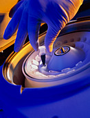Hand loading a blood sample into a centrifuge